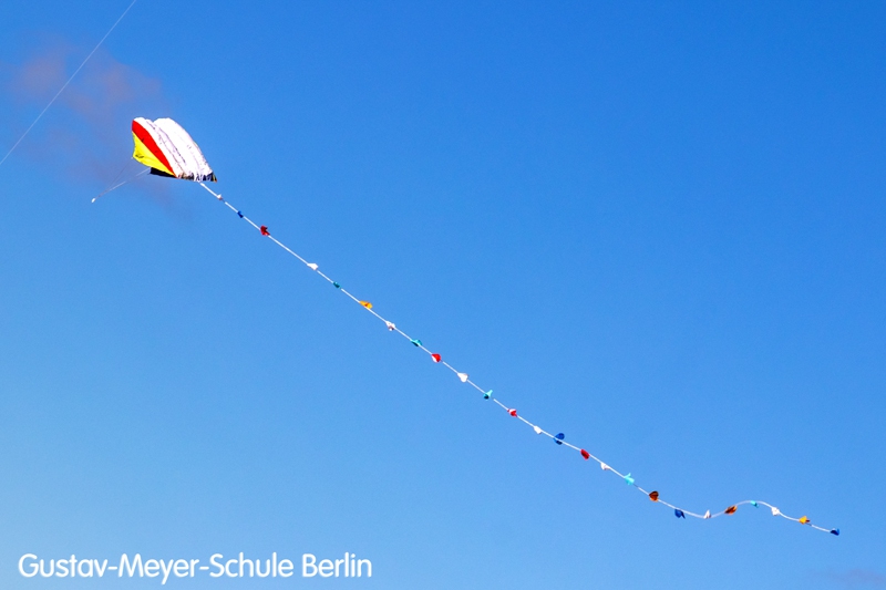 IMG_7351-b