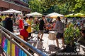 IMG_4846-b