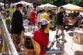 IMG_4854-b