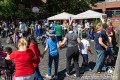 IMG_5231-hp