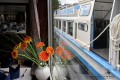 IMG_7884-b