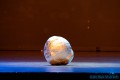 IMG_0705-b