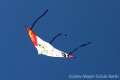 IMG_9456-b
