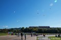 IMG_9514-b