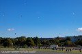 IMG_9530-b