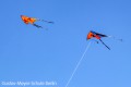 IMG_9537-b