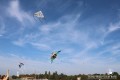 IMG_8933-b