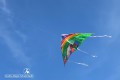 IMG_9048-b