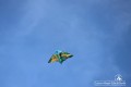 IMG_9061
