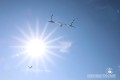 IMG_8911-b