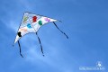 IMG_8968-b