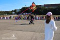 IMG_8979-b