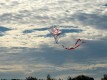 IMG_4935-b