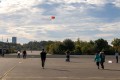 IMG_8005-b