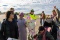 IMG_8047-b