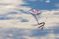 IMG_8054-b