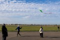 IMG_8100-b
