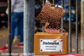 IMG_7583-b