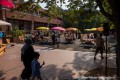 IMG_0955-b