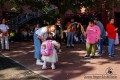 IMG_3607-b