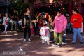 IMG_3611-b