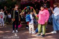 IMG_3639-b