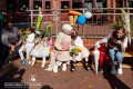 IMG_3650-b