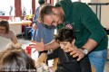 IMG_0800-b