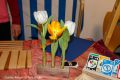 IMG_2532-b