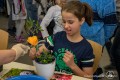 IMG_8619 b