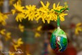 IMG_8677 b