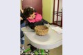 hp-IMG_0423