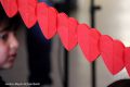 IMG_4335-b