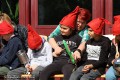 IMG_5269-b