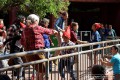 IMG_5312-b