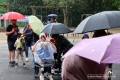 IMG_7343-b