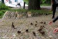 IMG_4845-b