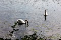 IMG_4937-b