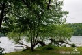 IMG_5163-b