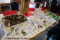IMG_6833-b