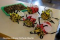 IMG_6835-b