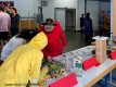 IMG_7012-b