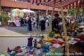IMG_8761-b