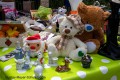 IMG_7677-b