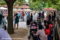IMG_8068-b