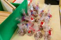 IMG_0260-b
