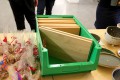 IMG_0261-b