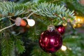IMG_0341-b