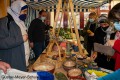 IMG_9546-b